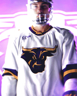 Pro Highlights Bundle - Transitions, Glows, Shakes, & More!